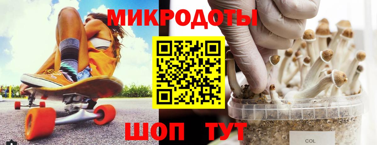 Псилоцибиновые грибы мицелий Калач-на-Дону